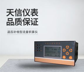 温压补偿型流量积算仪